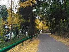 -金堂县云顶石城风景区