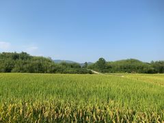 -良渚古城遗址公园