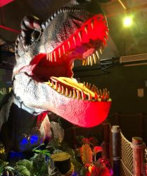 -恐龙探索乐园(磁器口店)