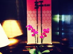 -金轩中餐厅 Jin Xuan(浦东丽思卡尔顿酒店)
