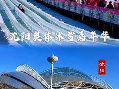 -沈阳奥体冰雪嘉年华