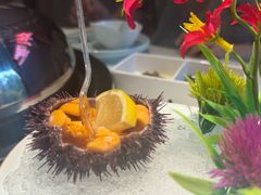 -苏大嘴蒸汽海鲜·海胆蒸饺(中山广场店)