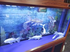 -阿春传统老菜馆(民航路店)