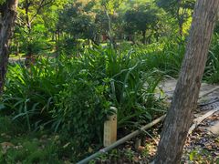 -万达影城(湛江万达广场IMAX店)