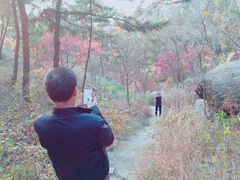 -太和山风景区