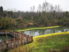 -桤木河湿地公园