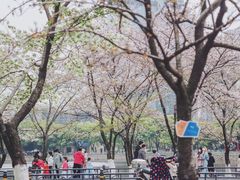 -西北湖绿化广场