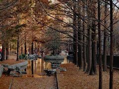 -白水寺森林公园
