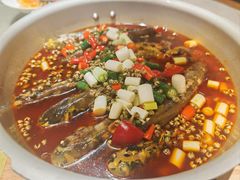 -新渝城·川菜·火锅(区庄店)