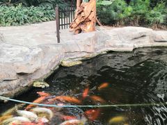-龙达温泉生态城