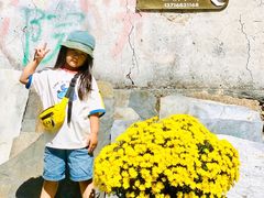 -南窖乡水峪村山情农家