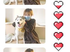 -Husky Go! 哈士奇体验馆·宠物咖啡厅狗咖