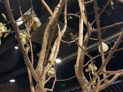 -韩盛·盛江山自助料理(于洪新玛特店)