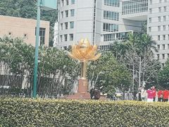 -金莲花广场