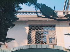 -微饮cafe