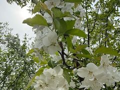-钟山体育运动公园