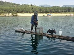 景点-楠溪江风景名胜区