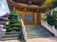 -上海东林寺(金山区)