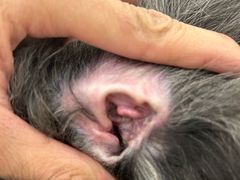 -comecome来吧宠物(奥克斯中心店)