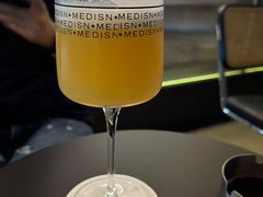 -MEDISN·药厂