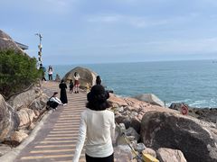 -广东惠东海龟国家级自然保护区