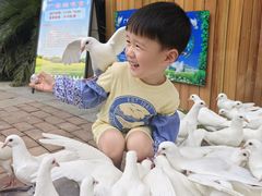 -成都欢乐谷