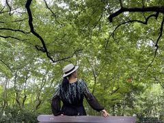 -徐家汇源景区-衡山公园