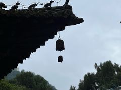 -报恩寺(平武县)