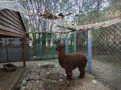 -长白岛森林公园