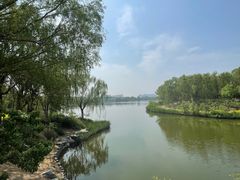 -大兴滨河森林公园