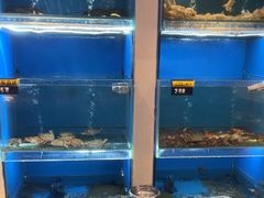 -赶海部落海鲜城(海阳路店)