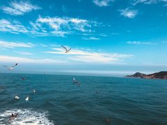 -海驴岛(荣成市)
