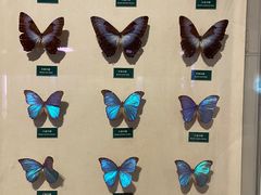 -陕西自然博物馆