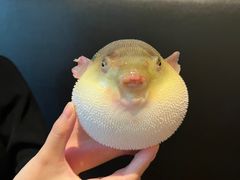 -永安鱼庄·镇江菜(东吴路店)