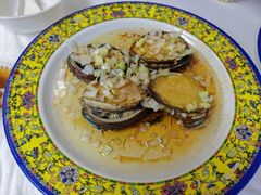 葱油鲍鱼-胖子饺子馆·海鲜家常菜(海军博物馆店)