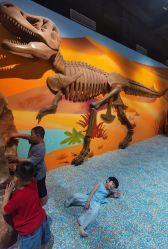 -北京科学中心儿童乐园