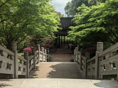 -八大山人梅湖景区