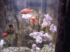 -多彩贵州城极地海洋世界