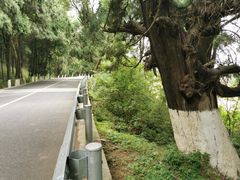 -七曲山风景区