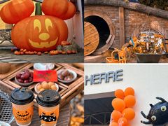 -HERRE·FARM 赫尔露营农场·团建聚会包场