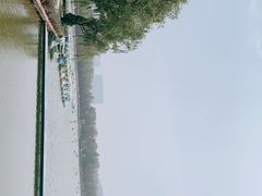 -森林公园(尖草坪区)