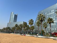 -金沙湖公园
