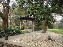 DSC03824-上海瑞金洲际酒店