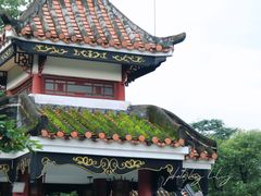 -顺峰山公园