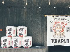 -胖虎打面团(九眼桥店)