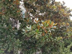 -济南轻骑摩托车有限公司(和平路)