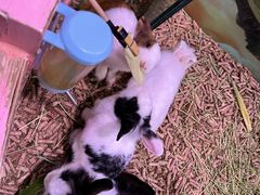-正佳雨林生态植物园