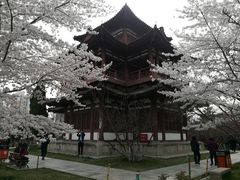-西安青龙寺遗址景区