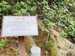 -羚羊峡古栈道森林公园