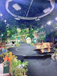 -迈瑞米求婚策划(静安店)